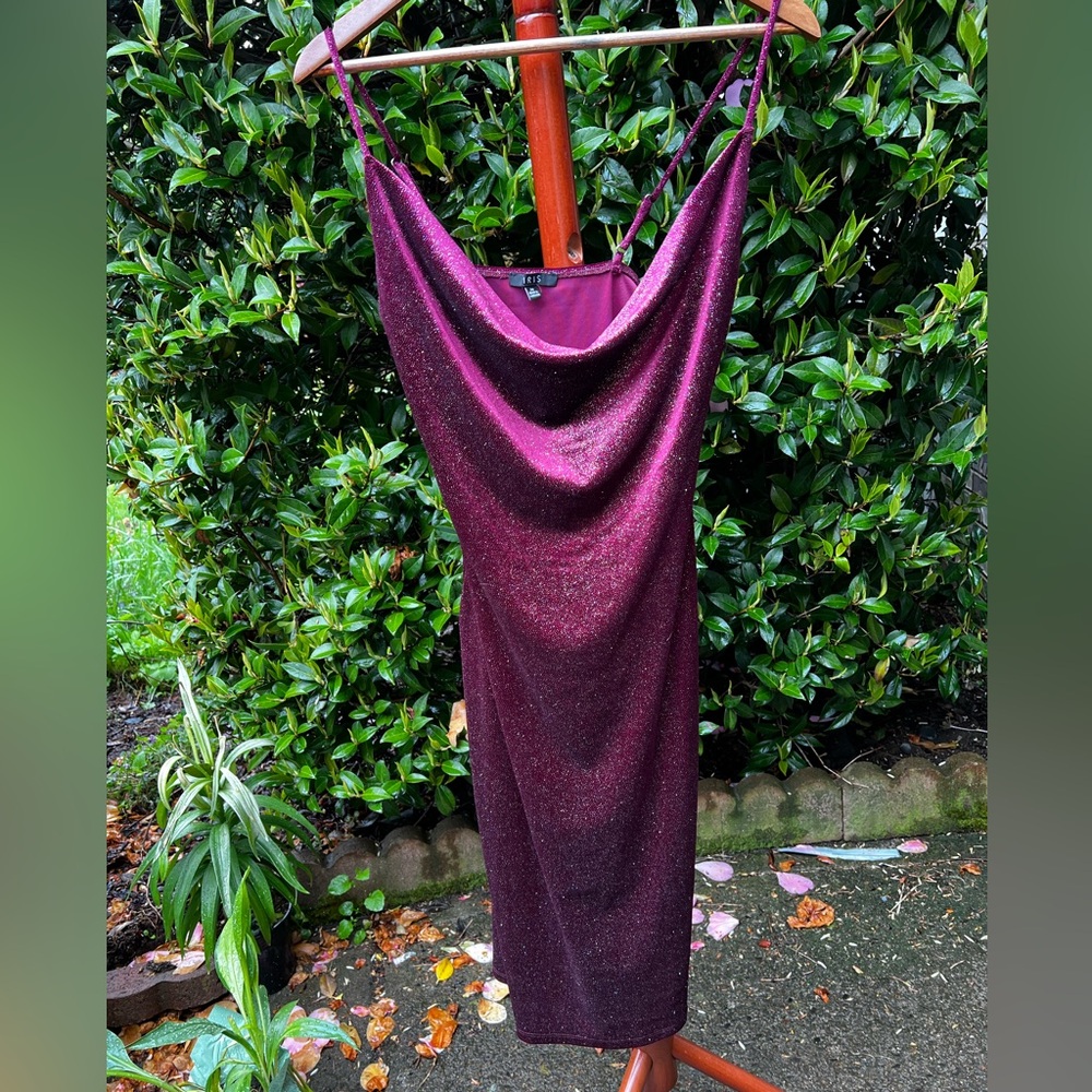 Sparkle Maroon Dress